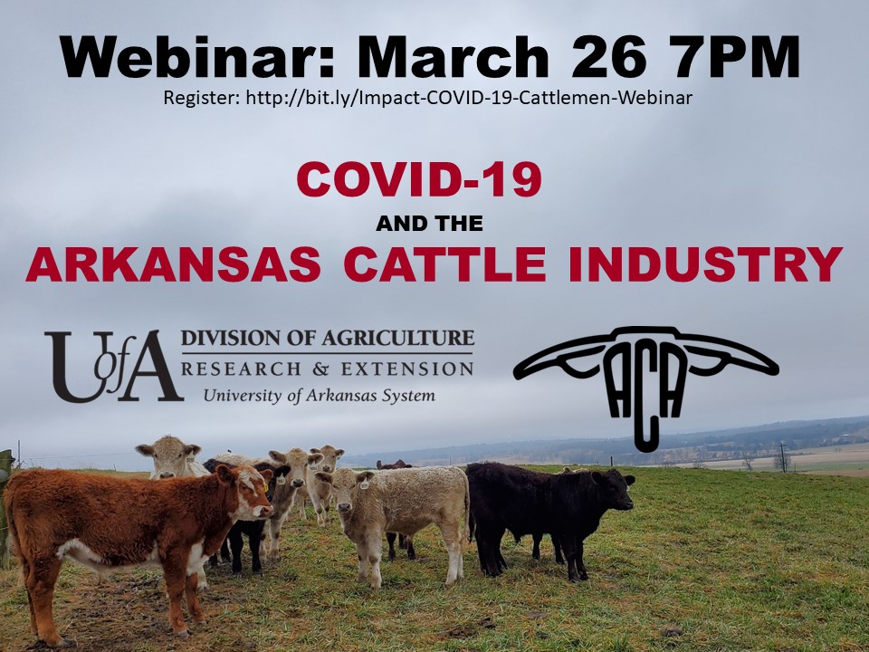 UAEX_CATTLE's tweet photo. UA and ACA will be hosting a webinar on the Impacts of COVID-19 on the AR Cattle Industry March 26 at 7PM.  Link to register for the free Webinar: https://t.co/lWLABcQTvF https://t.co/WvYKta1tu5