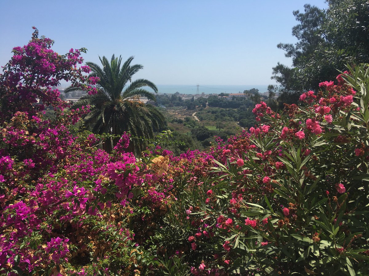 Overlooking ancient Hippo Regius. The Mediterranean in the distance. #Annaba, Algeria.