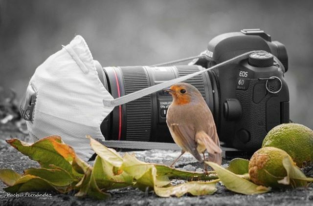 Buenas noches #amigers

Esta noche nos despedimos con una espera que ha dado resultado, la de 4 días de <a href="/pachu_fer/">Maria Paz Fernandez </a>, esperando su momento... y el nuestro llegará también 💪🏻💪🏻💪🏻 #yomequedoencasa 
Comparte un momento, una ilusión con #igerscantabria 💙 ift.tt/3a5p8OD