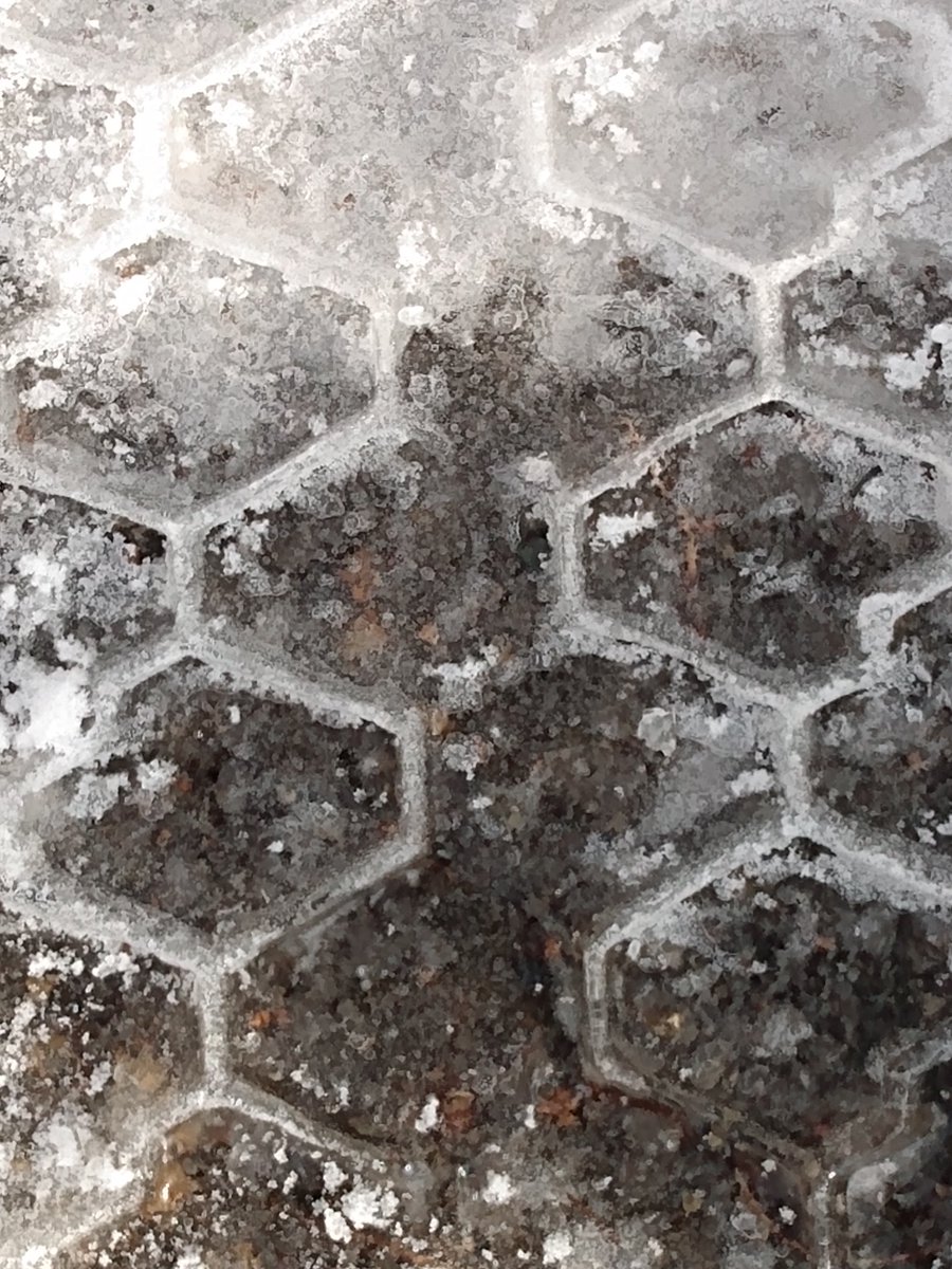 <a href="/annie_classe/">Phoques amicaux</a> Nancy Carrier (<a href="/NancyCarrier12/">Nancy Carrier</a>) a tweeté à 10:00 a.m. on jeu., mars 19, 2020 :
Bonjour les Abeilles! Ce matin,nous avons fait une chasse aux alvéoles! Nous devions trouver des choses de forme hexagonale (6 côtés).