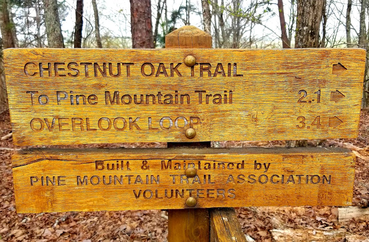 rmdhike's tweet photo. First Day of Spring at Pine Mountain Trail - (https://t.co/foK5sTdxkL) #hiking #SocialDistancing #coronavirus https://t.co/H3SlIP8cTg