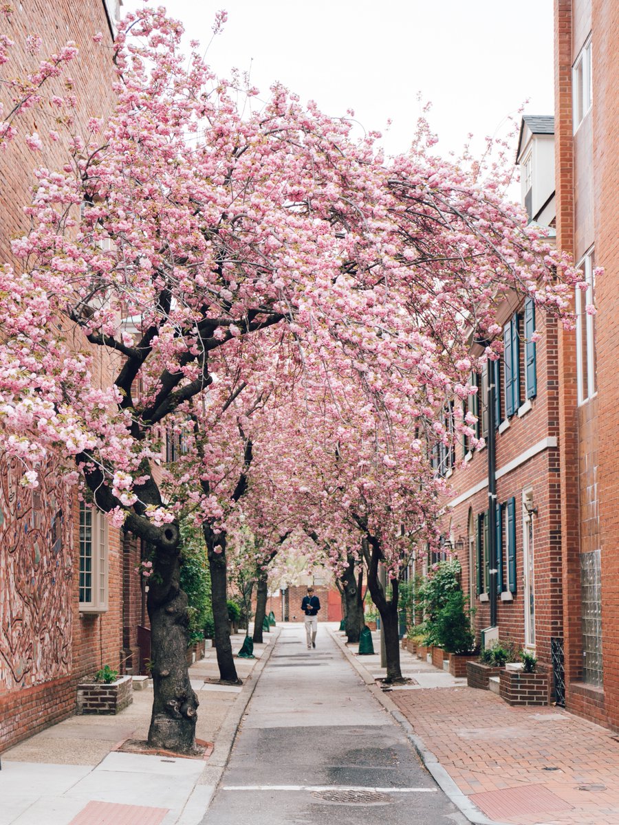 neff_knows's tweet photo. Friendly reminder: take a walk, take a breath, and reflect on the beauty around you today. #SpringEquinox 📸 photo cred: 1. Adam Englehart 2. Ryan Mohl https://t.co/JIwdHCXzjn