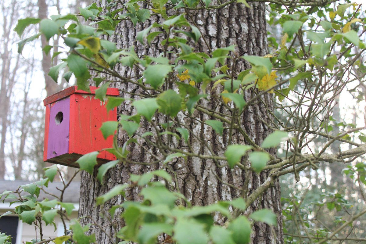 Alfonso Favale tweet media