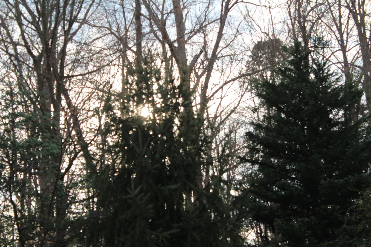 Alfonso Favale tweet media