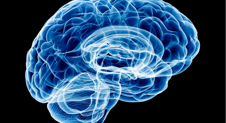 Brain chemistry masturbation