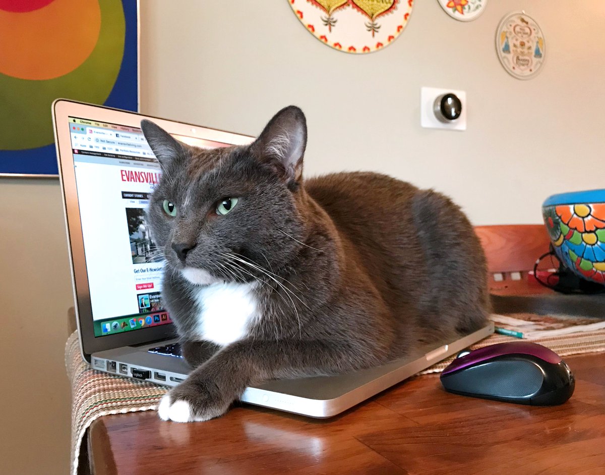 Evansville Living tweet media