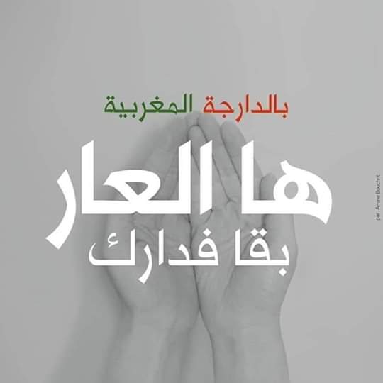 2222il's tweet photo. #عاون_بلادك_خليك_فدارك https://t.co/j4nxpJTtuA