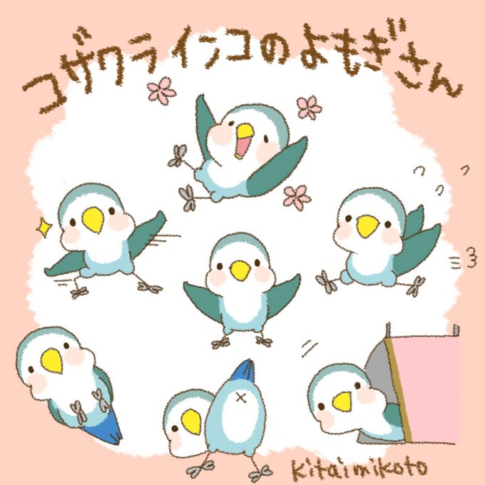 コザクラインコのtwitterイラスト検索結果