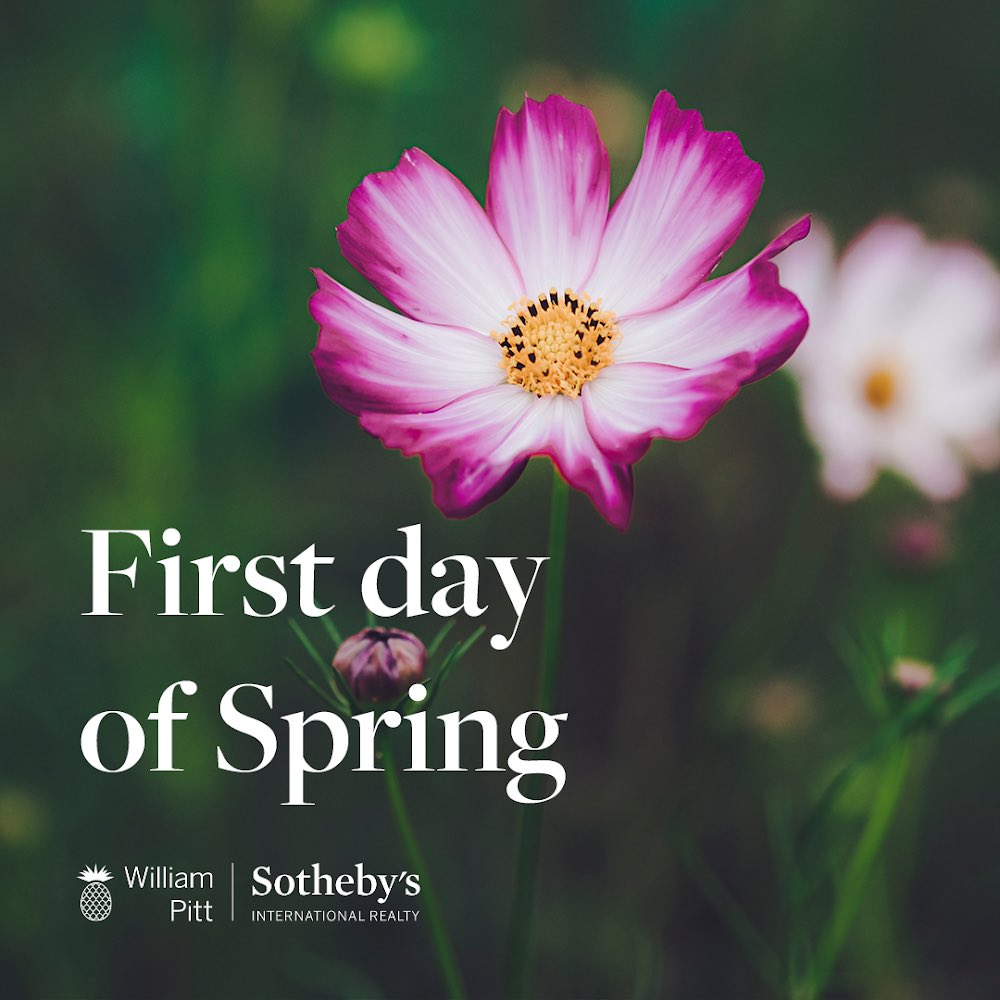HerBrains's tweet photo. Try to find your blooming flower in days like these. #silverlinings #smelltheflowers #HBHL #HerBrainsHisLooks #ErikaSongerHomes #GeorgeOConnellHomes #Realtor247 #GoTo2 #WilliamPitt #WilliamPittSothebys #Realtor https://t.co/oMwCaritJF