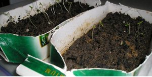 The #1 Survival Skill That Will Keep You Alive Post-Collapse: bit.ly/2SeDiVV