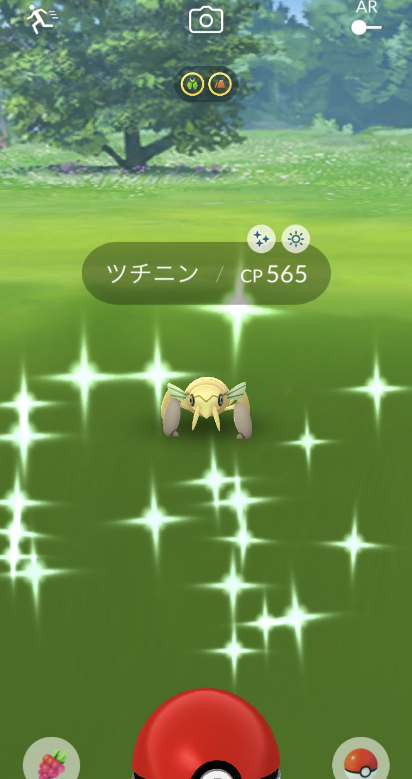 ルーク まだ開始10分ですけど ポケモンgo ツチニン 色違いレイド T Co Rwnhjmnuox Twitter