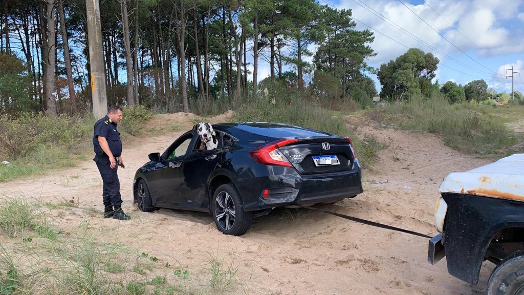 Motor1Argentina's tweet photo. Argentina - Postal de Marzo 2020.
Quiso ingresar a Pinamar evitando los controles por el Coronavirus. Se mandó por los médanos con un Honda Civic. Se encajó. Lo encontró la policía. Y lo tuvieron que rescatar con una vieja Dodge.
#ElAnimalNoEsElPerro https://t.co/BaXDsZcK6G
