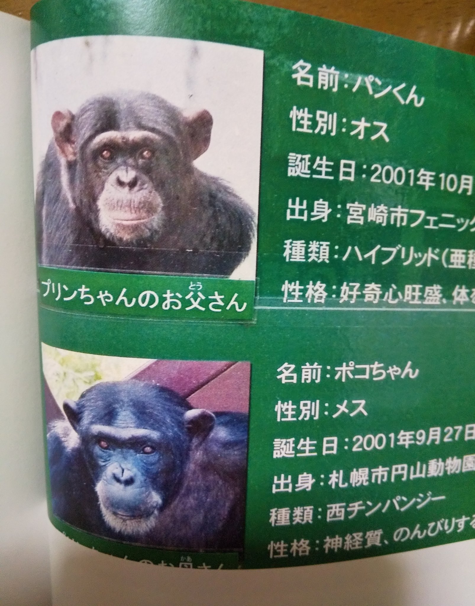 パンくん様ご確認用 パンくん様ご確認用