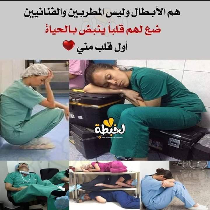 Alaa Shebl (@alaashebl15) on Twitter photo 