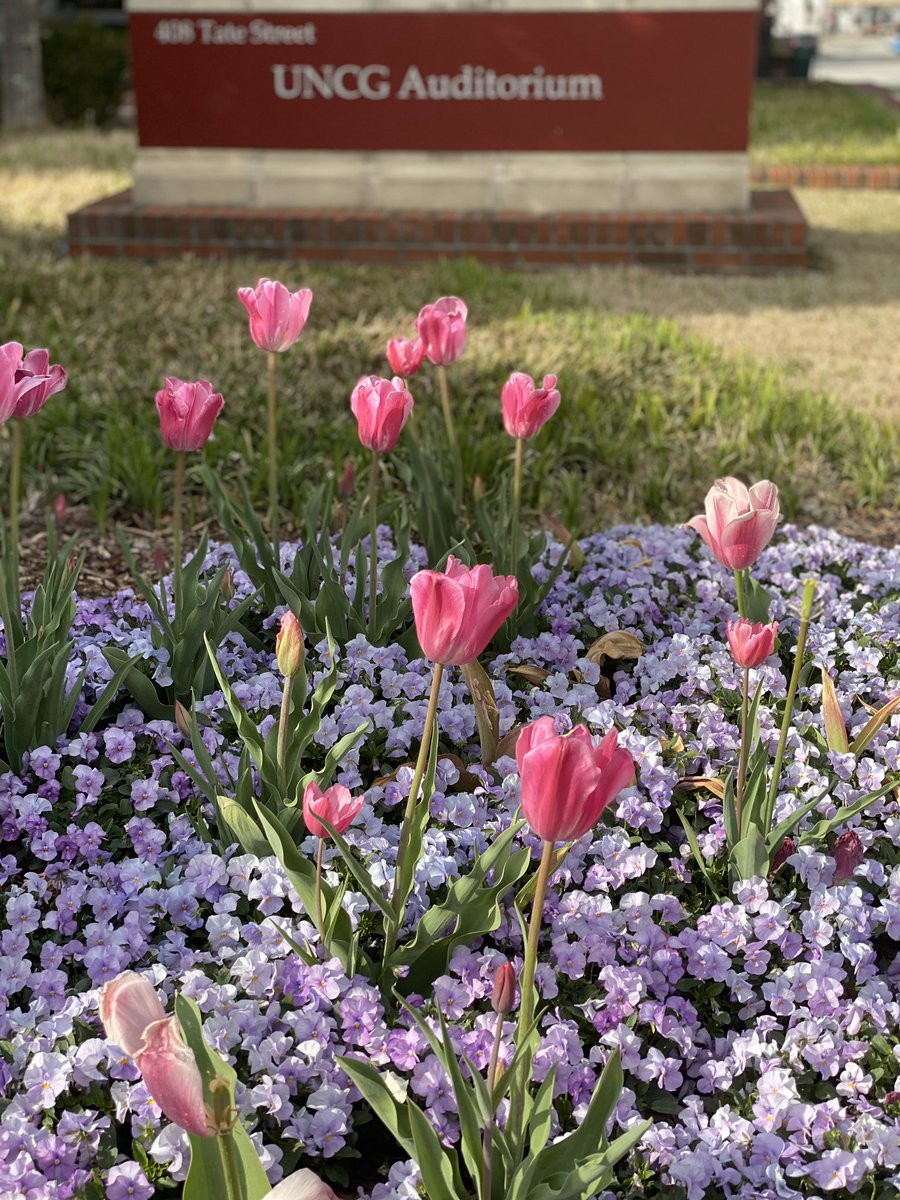 PrincipalBrown1's tweet photo. Got 2 miles in a solo walk on the beautiful campus @UNCG @MidCollegeUNCG
Perfect weather! #ISpySpring https://t.co/2ByUICXD9I