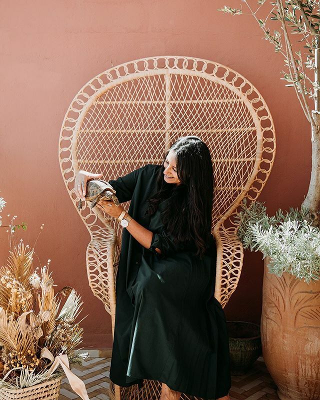 Riad Le Limoun tweet media