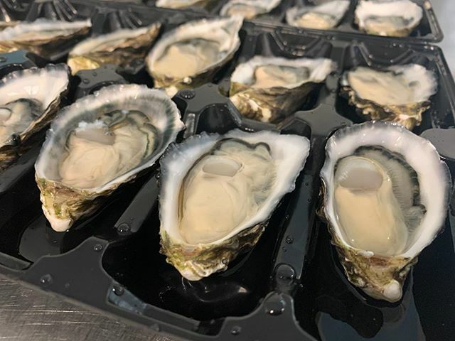 AshmoreFoods's tweet photo. New season Bruny Island oysters just in, Absolute crackers! https://t.co/eIqjJJc1Os https://t.co/4YVpUuTrN9