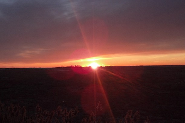 The creative delights of waking up early... bit.ly/33vllYF #VitalCounsels