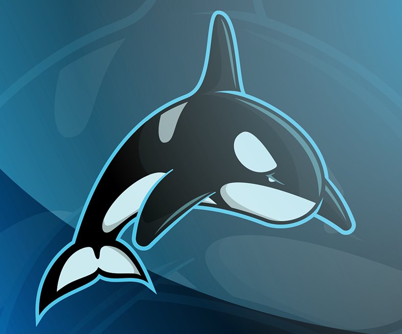 TeamTardi's tweet photo. Whale, whale, whale... seems like the vote went in favor of the orca! Got a lot of feedback to make it relate more to us so we have something in the works!
#killerpod https://t.co/aCAiHWHVHK