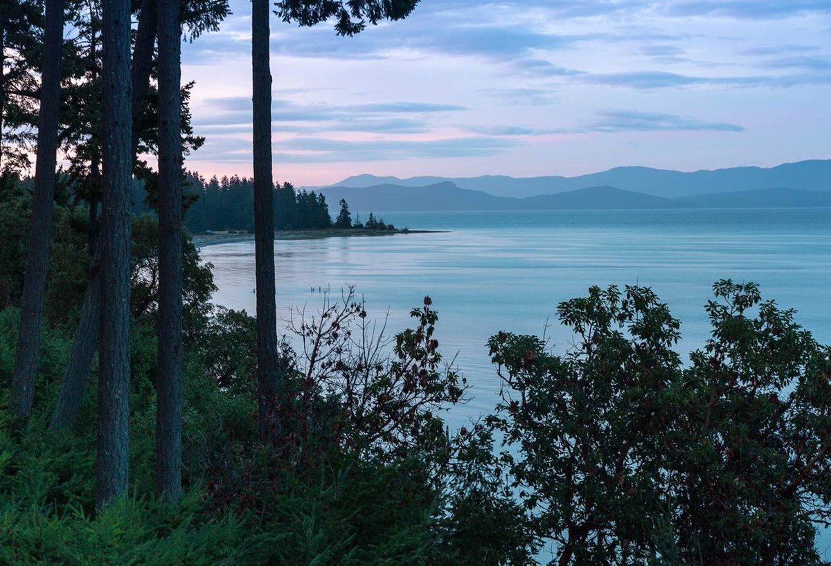 Tigh_Na_Mara's tweet photo. Anytime you want check our live webcam for tranquil views of the Salish Sea &amp; Coastal Mountains https://t.co/JuhddUXKwF https://t.co/2tRHpovC7x