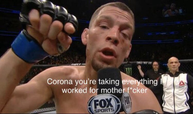 danawhite tweet media