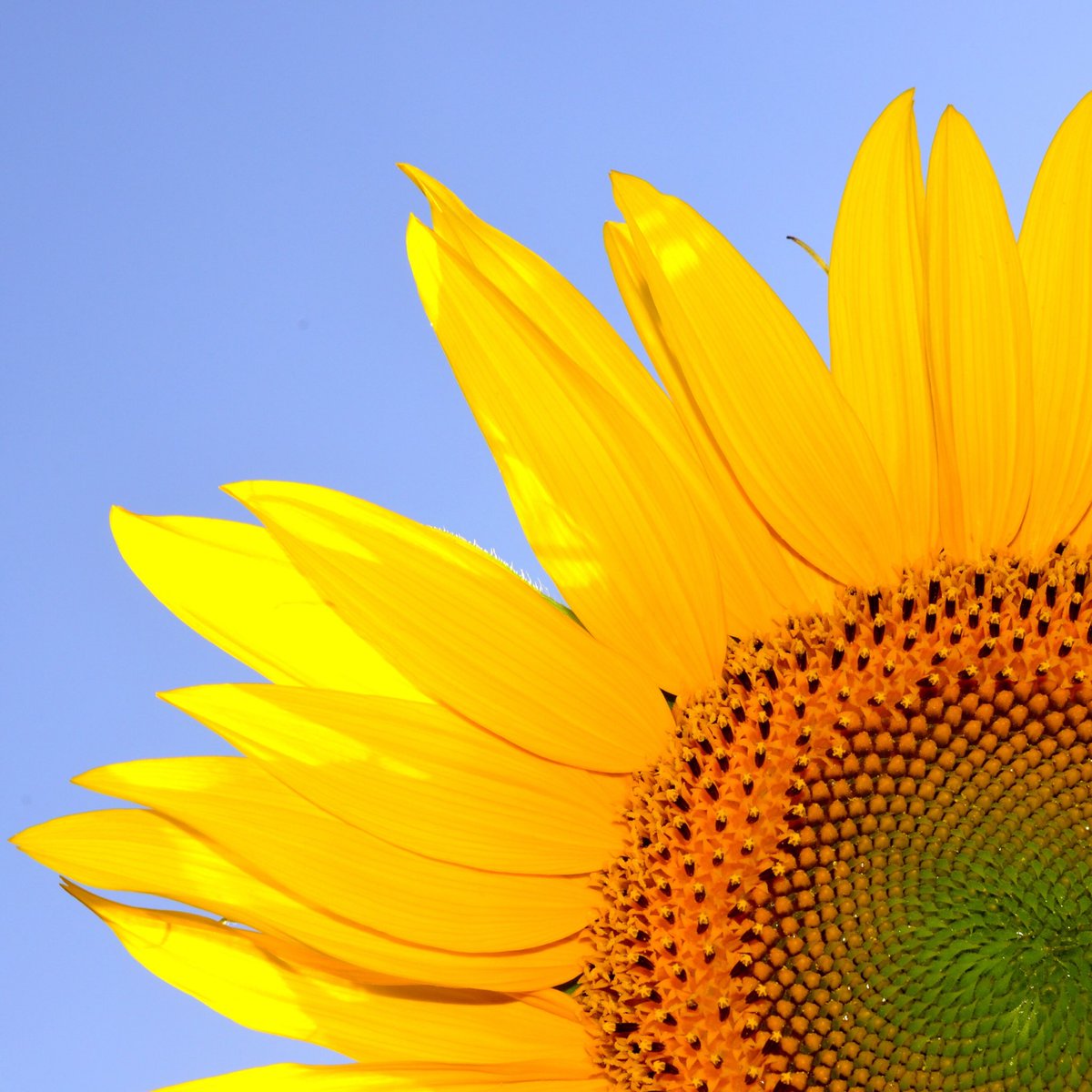 Spotscreen's tweet image. Today is International Day of Happiness! 😄✨

Take this time to reflect and remind ourselves on what is really important, being our health, friends, family and mental wellbeing.

Keep Calm and Spread the Happiness🌻 #healthandwellness #dontworrybehappy #skincare #sunsmart