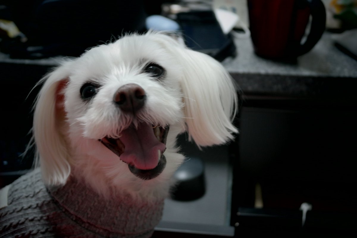 언니랑 출근해서 기분좋은 멈머😛