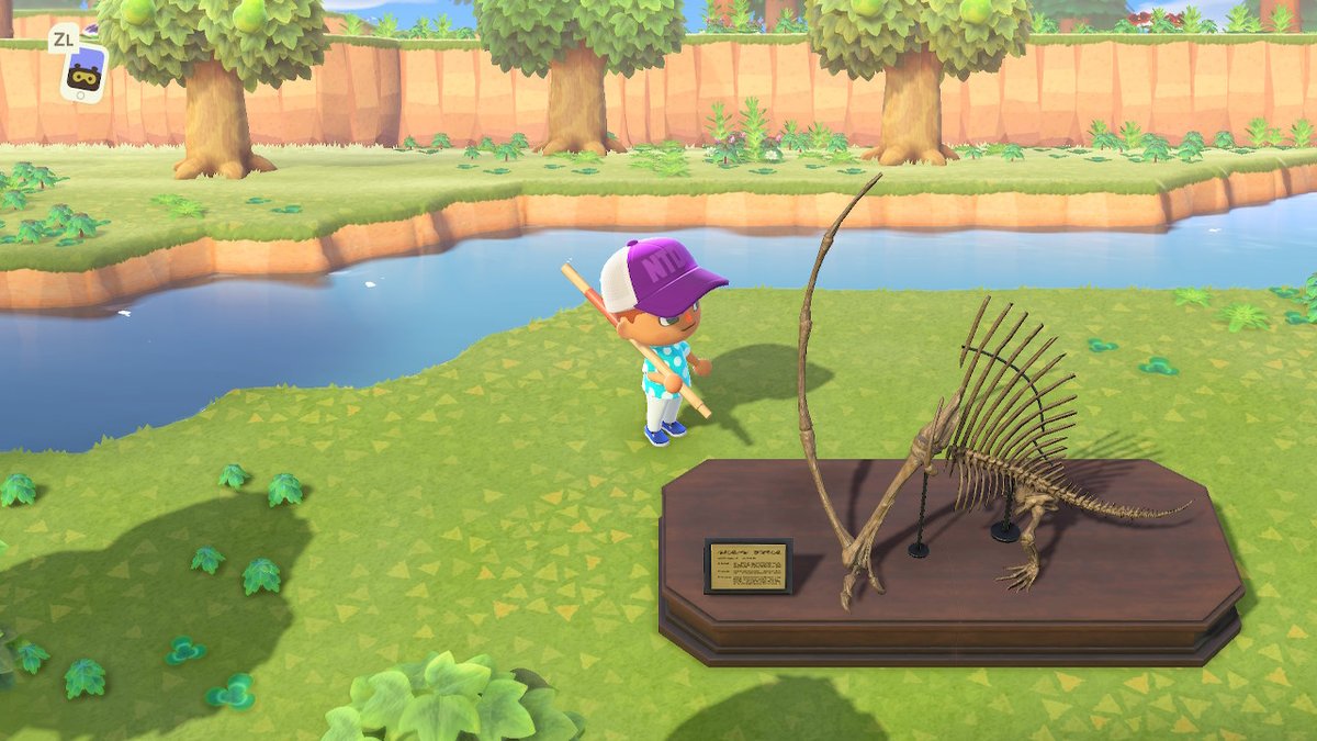 キチ Auf Twitter 今回化石の台座綺麗にあうからキメラ作れるな どうぶつの森 Animalcrossing Acnh Nintendoswitch