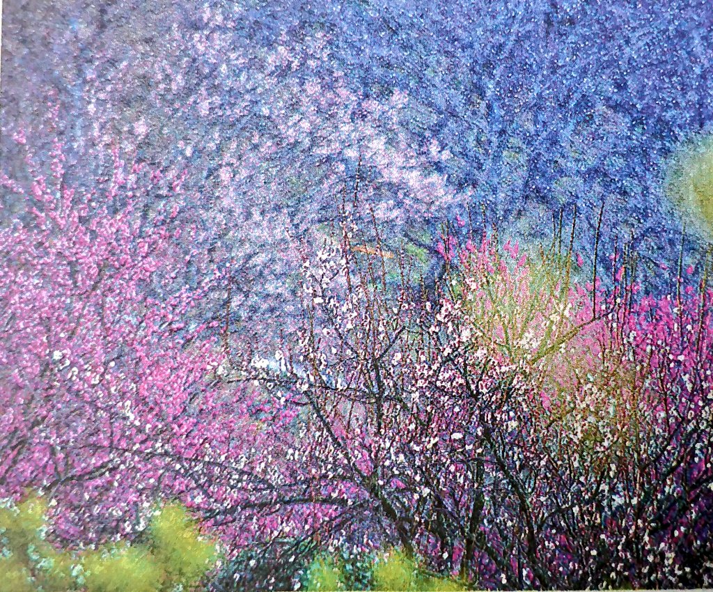 dandydaddy3's tweet image. もうすぐ春

#Springsoon