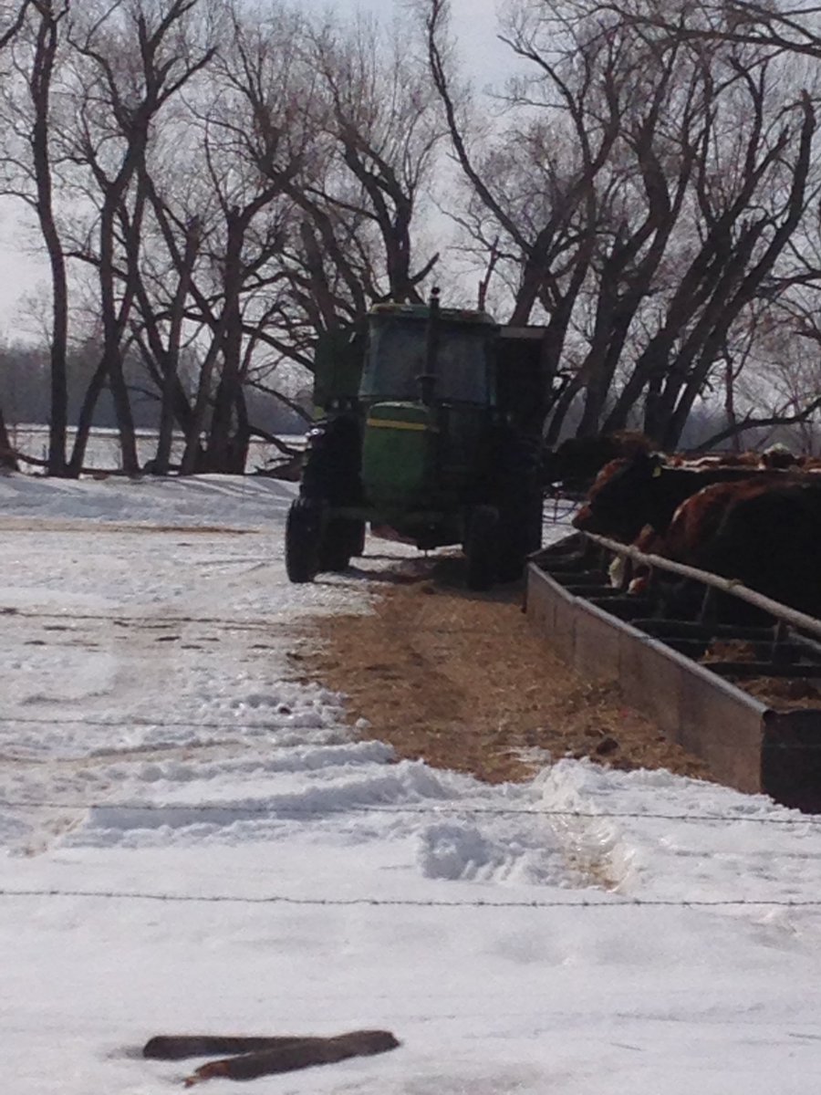 FGP Cattle tweet media