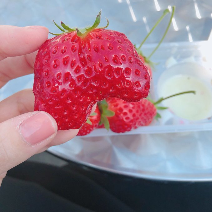 Twitterのコスプレ画像22