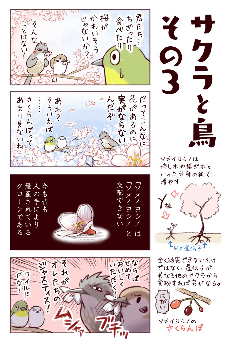 わいるどらいふっ!第170種
【桜と愉快な鳥たち】
桜が咲くといろんな生き物が集まります。人が集まる花見は自粛モードですが、街路樹や近所の桜に目を向けてみると面白いかもしれません。
#春分の日 