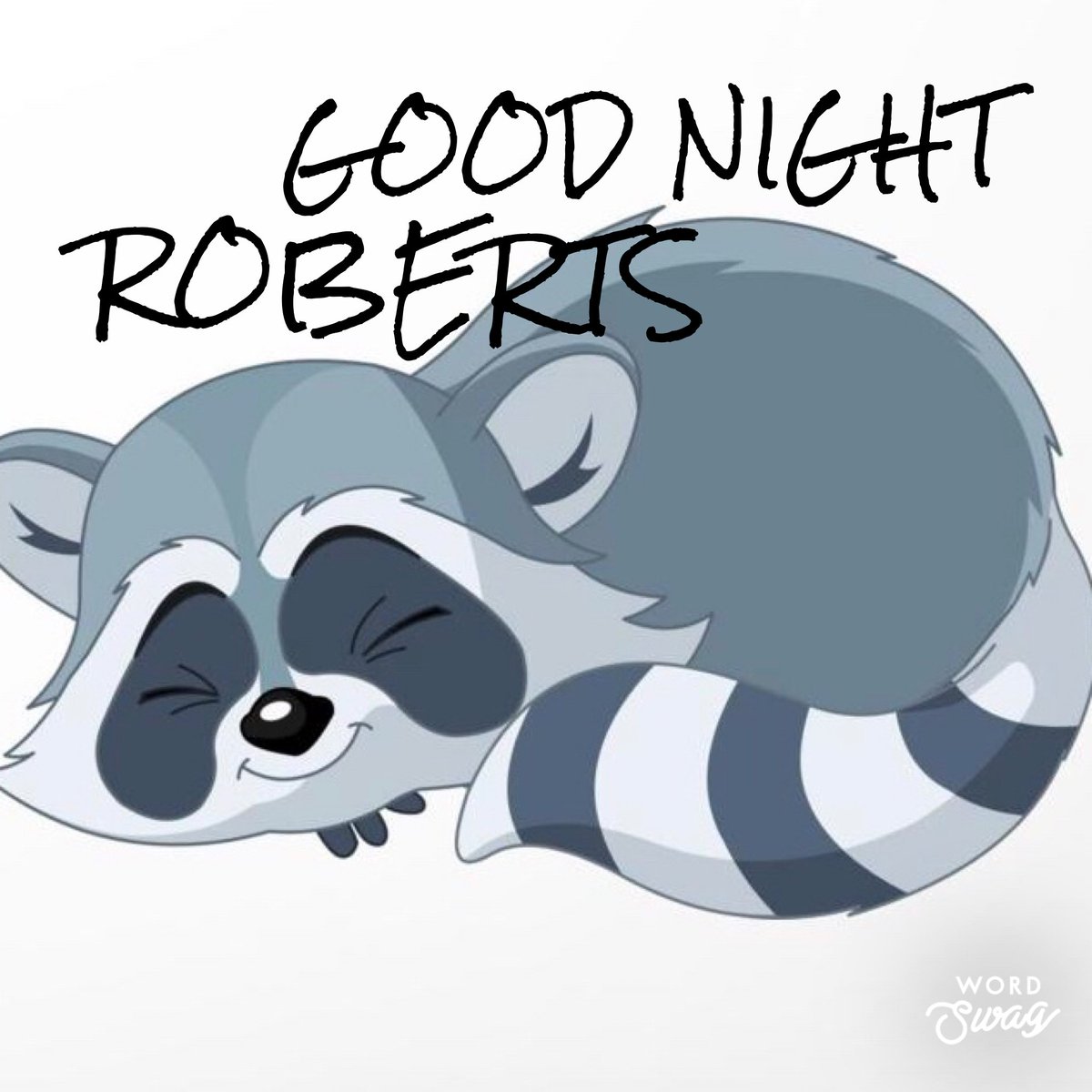 Roberts_PTC's tweet photo. It’s important to be active but we must all get our rest too! Rest easy Raccoons.
#DailyRoutines
#KeepingKidsEngaged https://t.co/qExfKlRH5Y