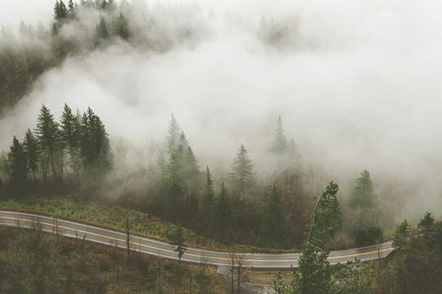 A car came along every ten seconds or so #CapeHorn #Prindle #SkamaniaCounty #Washington #WashingtonExplored ift.tt/3dfi583