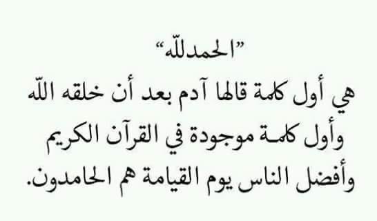 سلطان القرشي tweet media