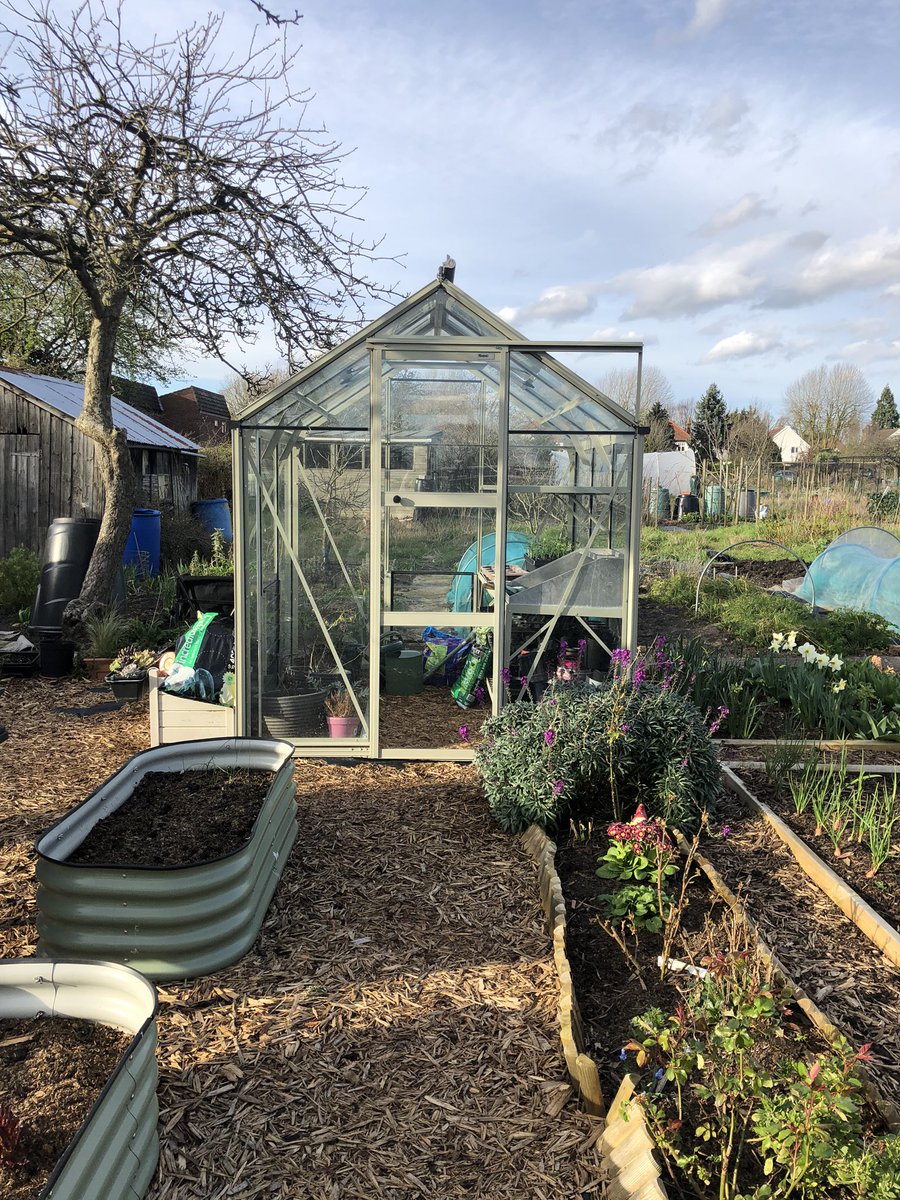 Ellen Mary tweet media