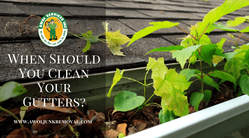 AwolWashing's tweet photo. When Should You Clean Your Gutters? - https://t.co/7ix3fykkwS

#sanitizer #sanitize #guttercleaning #guttercleaningservice #guttercleaners #professionalguttercleaningservice #bestguttercleaningcompany #guttercleaningserviceniraeford #raefordnorthcarolina https://t.co/kkYbctBeaM