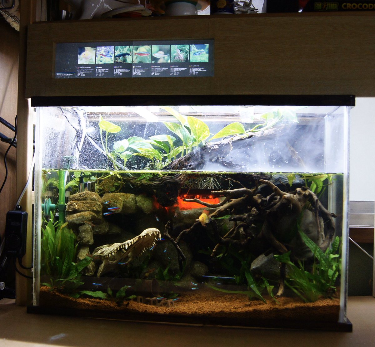 Nぼっくす むかーし作った水槽 その3 発泡スチロールにモルタルを塗って アクアマリン ソフト でアク抜きして擬岩つくり 自作水槽 Diy アクアリウム T Co 9kkwagcpuu Twitter Nぼっくす むかーし作った水槽 その3 発泡スチロールにモルタルを塗って アクアマリン ソフト でアク抜きして擬岩つくり 自作水槽 Diy アクアリウム T Co 9kkwagcpuu Twitter