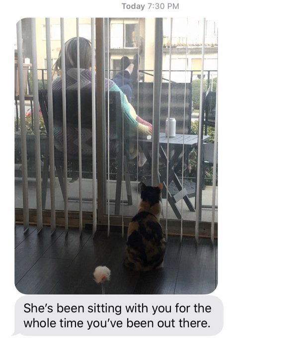 Omg I&rsquo;ve been outside for 30 mins and she&rsquo;s been sitting there waiting and watching the whole damn time<a href="/tag/onmfc"class="tags"><span>#onmfc</span></a>