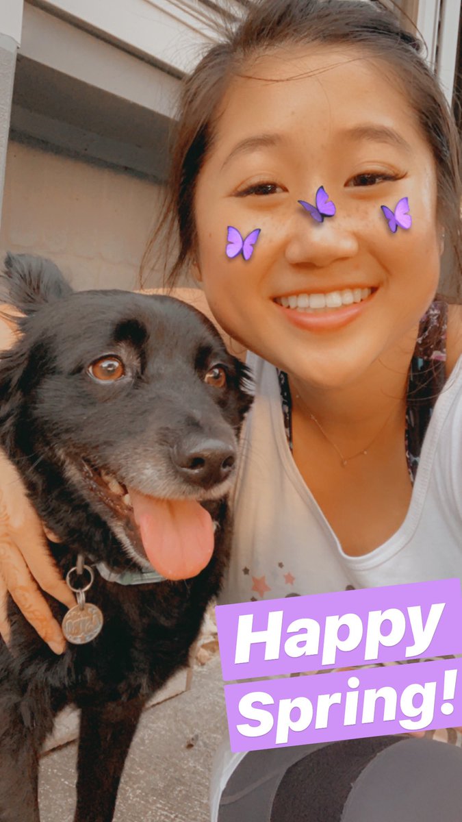 MsNgoAnh's tweet photo. Happy Spring 🌈🦋🌼 My dog, Astro, and I got a run in for PE today! @APE_Sailors @APE_PTA_Sailors https://t.co/LEBrGik3dk