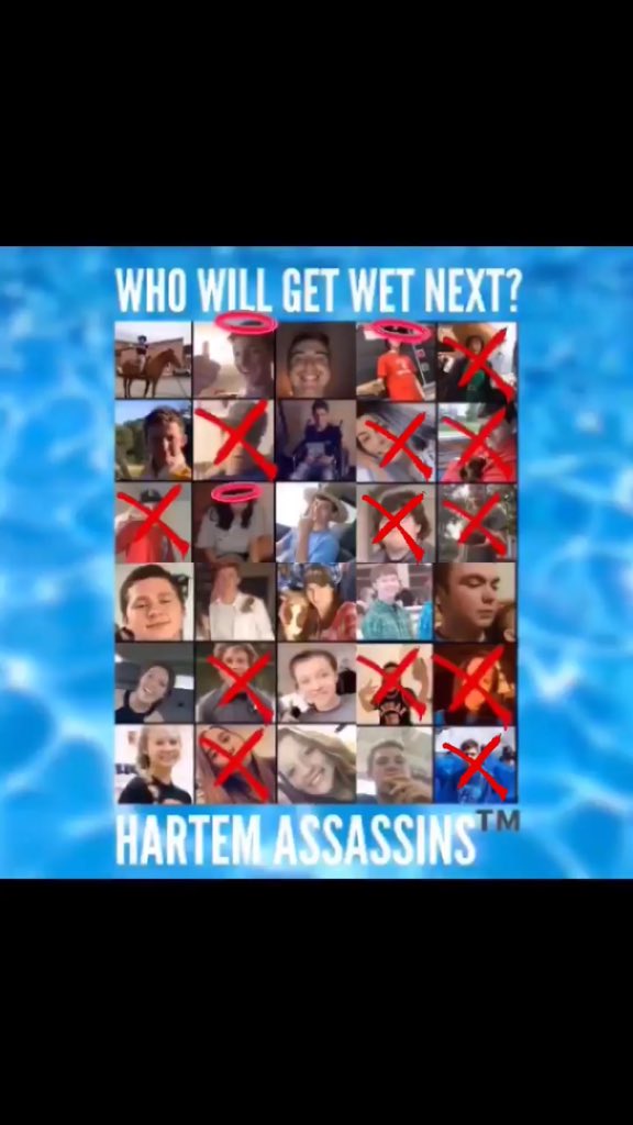 AssassinsHartem's tweet photo. Current status https://t.co/pedOivfQci