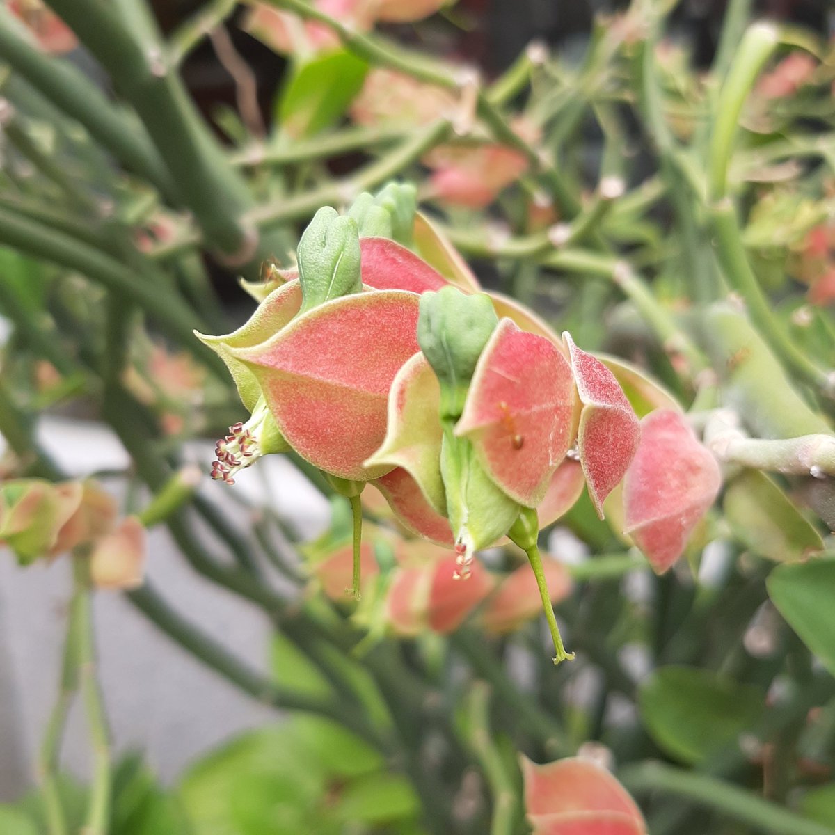 Note99228764's tweet image. #NewProfilePic