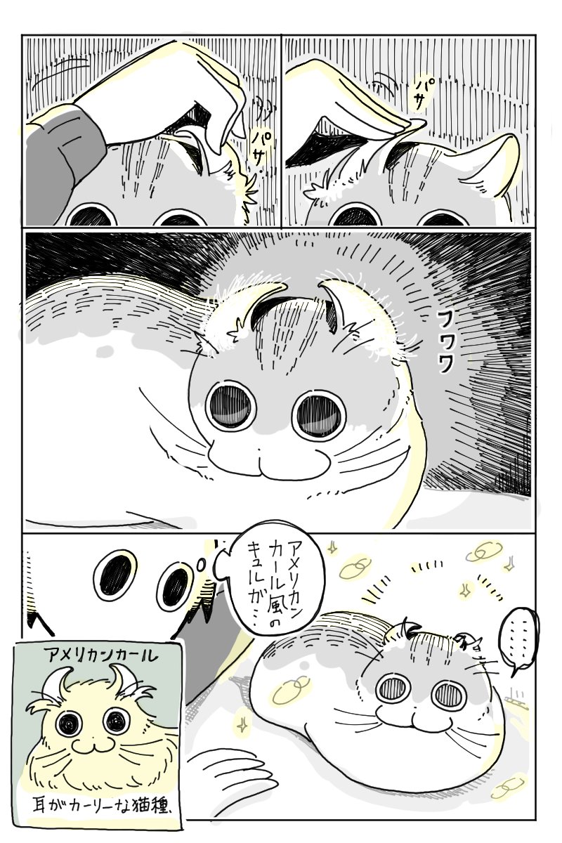 ネコの耳裏返しがち
https://t.co/3By0p2MqUg 