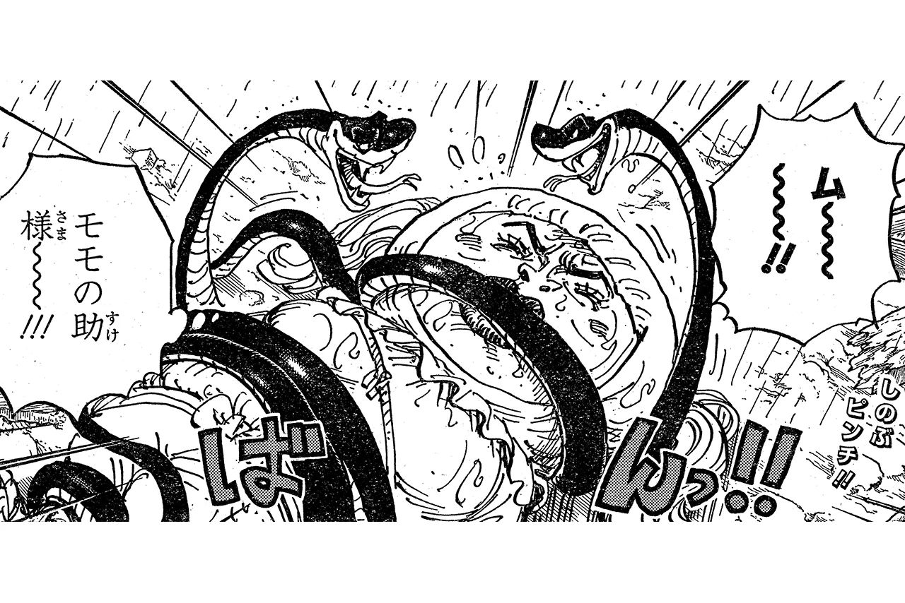 ONE PIECE.com(ワンピース) on X: 