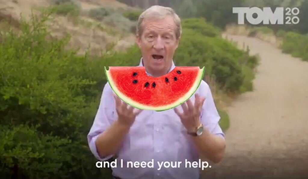 Tom Steyer as panties, a thread: