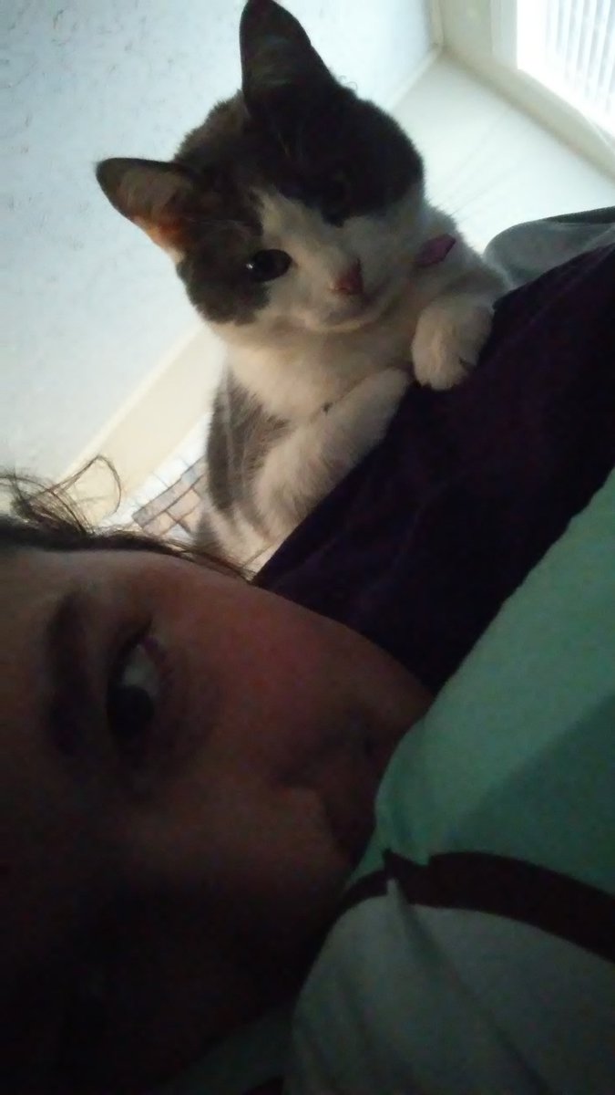 Tell Me About Your Elf! 😈🤸‍♀️💪 tweet media