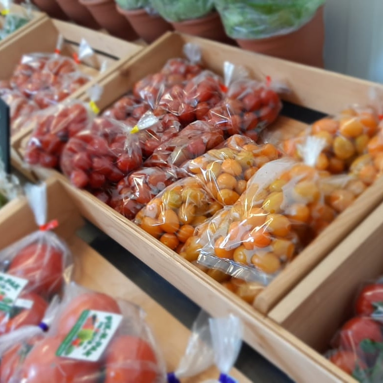 S4Greenhouses's tweet image. Guess what we found in the greenhouse today? Little orange grape tomatoes 🍅 They are available at The S4 Veggie Store. $4/bag.

(We also have cherry, red grape, and cocktail tomatoes).

#s42020 #veggies #shoplocal