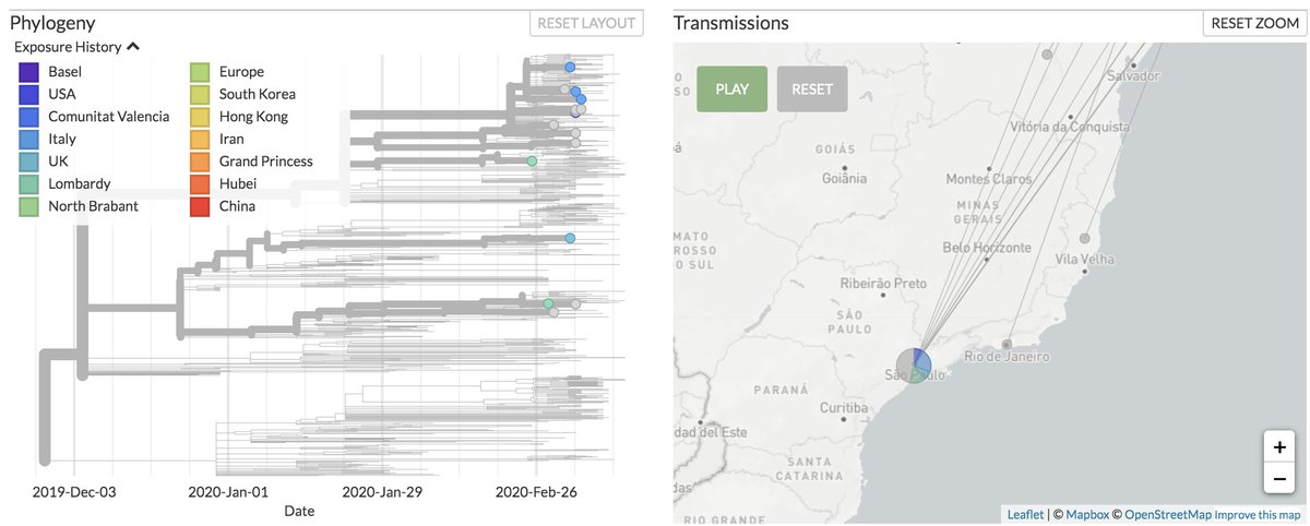 Thank you to Instituto Adolfo Lutz and <a href="/GISAID/">GISAID Initiative</a>, we've just added another 8 Brazilian sequences to nextstrain.org/ncov, including 4 with travel histories. Also just added another sequence from Wales courtesy of @SmallRedOne <a href="/tomrconnor/">Tom Connor</a> <a href="/PublicHealthW/">Public Health Wales</a> <a href="/WalesMicrobiol/">Wales Microbiology</a>
