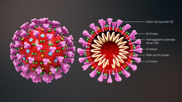 RPPNoticias's tweet photo. Coronavirus: Nuevo estudio afirma que el virus se queda en el aire en estado de aerosol hasta por 3 horas.  
https://t.co/mmQDC7F1pf https://t.co/ojBVxuYRvv
