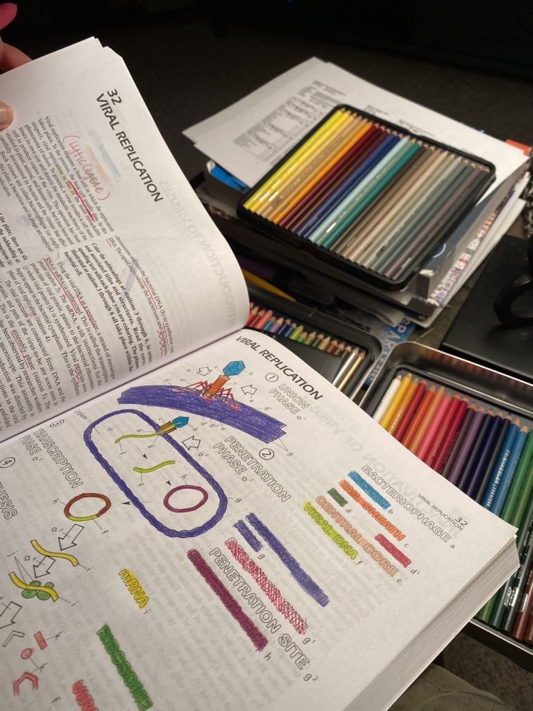 MidlandHighCSOs's tweet photo. How are YOU spending your time during the quarantine?? CSO Taryn (future microbiologist) uses her virus coloring book. Educating AND fun!! #COVID19 #virus #bioislife https://t.co/48VSjw4eLZ